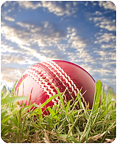 cricket_ball_on_grass.jpg