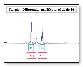 dna_02.jpg