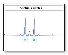 dna_03.jpg