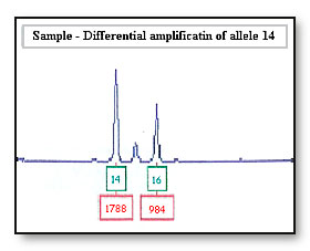 dna_05.jpg