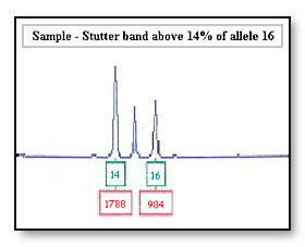 dna_08.jpg