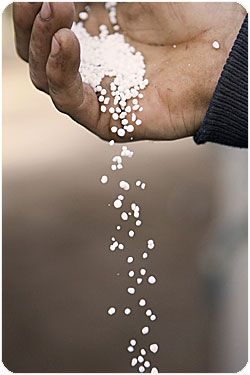 Urea-fertiliser.jpg