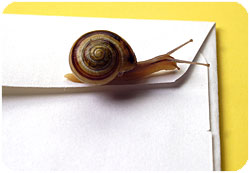 snail.jpg